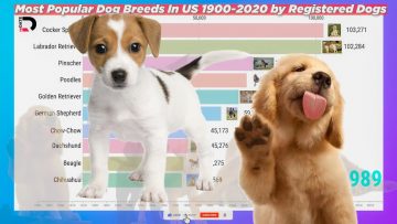 Private: [ID: jIDi3Fp1acw] Youtube Automatic