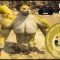 How To Mine Dogecoin?  – GTA5 Mods – CocoBibu