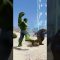 AVENGERS ENDGAME BATTLE – GTA 5 – #shorts #thanos #ironman #spiderman #hulk #thor #gta5 #cocobibu