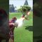 Iron Man vs Hulk #shorts