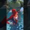 Spider-Man with the power of Superman against the incredible Hulk #cocobibu