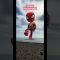 SPIDEY Hokey Pokey Dance 🥳 #shorts #svfv001