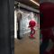 Rocky – Spidey Boxing #shorts #svfv002