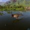 Acrocanthosaurus Jurassic World Evolution 2