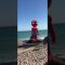 Spidey got hit by somebody #shorts #viral