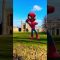 SPIDEY Gangnam Style dance in Cambridge #shorts