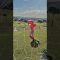 Spider-Man Golf #shorts