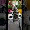 Huggy Wuggy Dance – Spidey and Monster Jam Megalodon #shorts