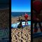 Beach Time Spidey and his amazing friends #shorts #spiderman