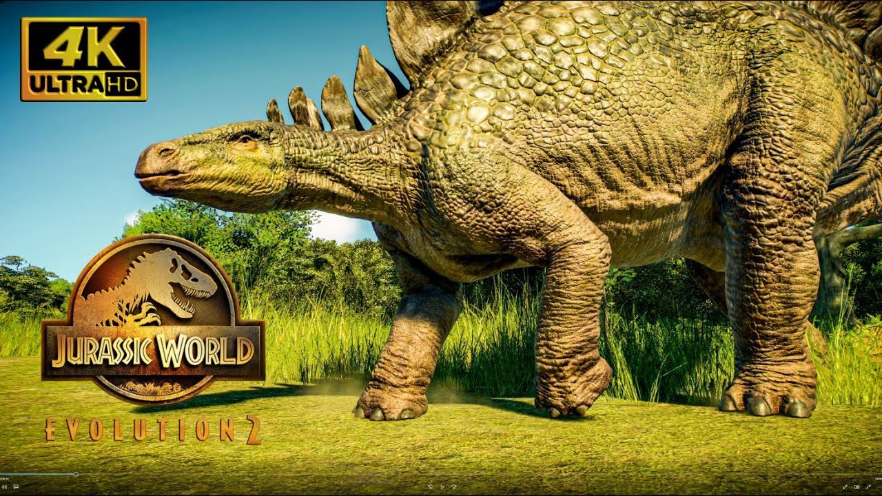 Preload Image