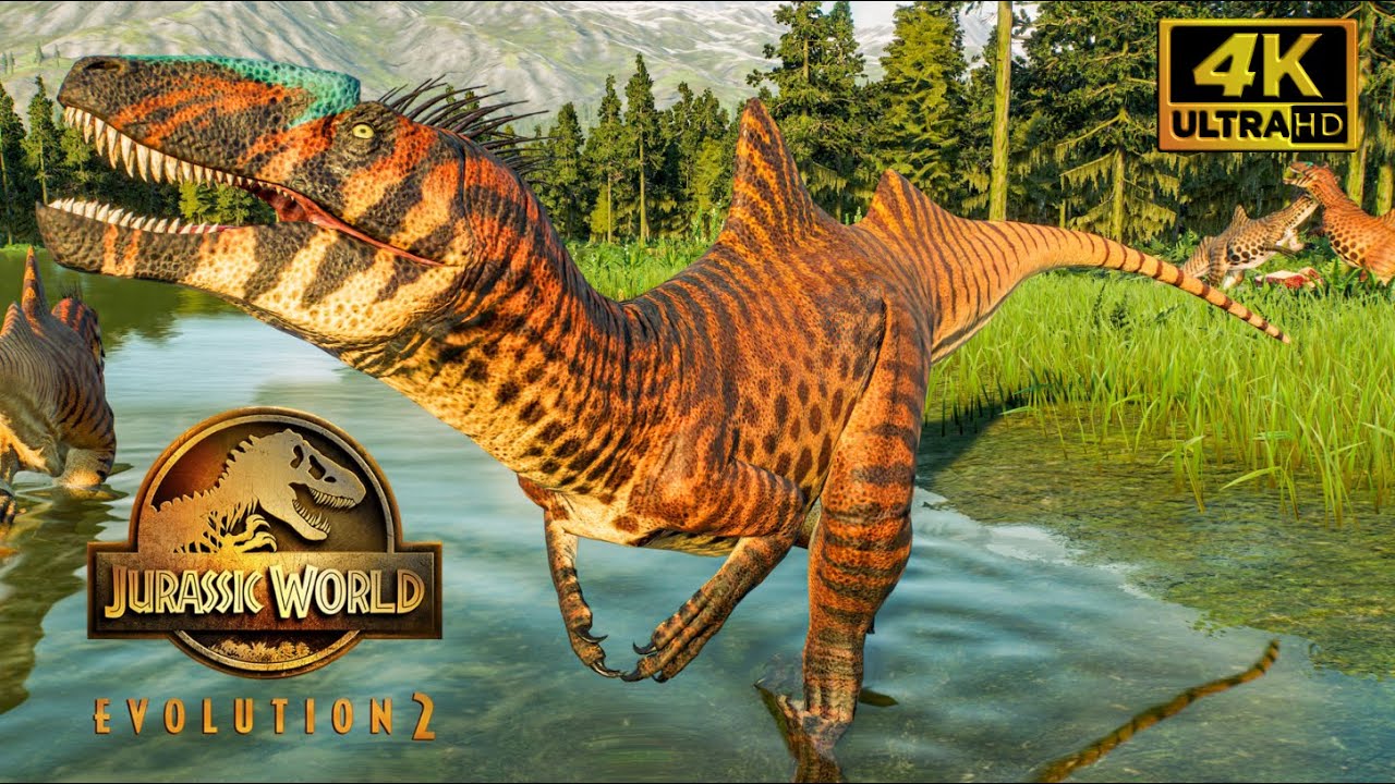 Preload Image
