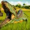 Indoraptor NEW 4k relaxing video – Jurassic World evolution 2