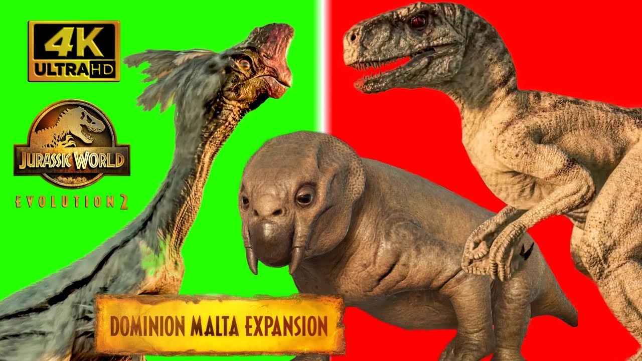 Preload Image