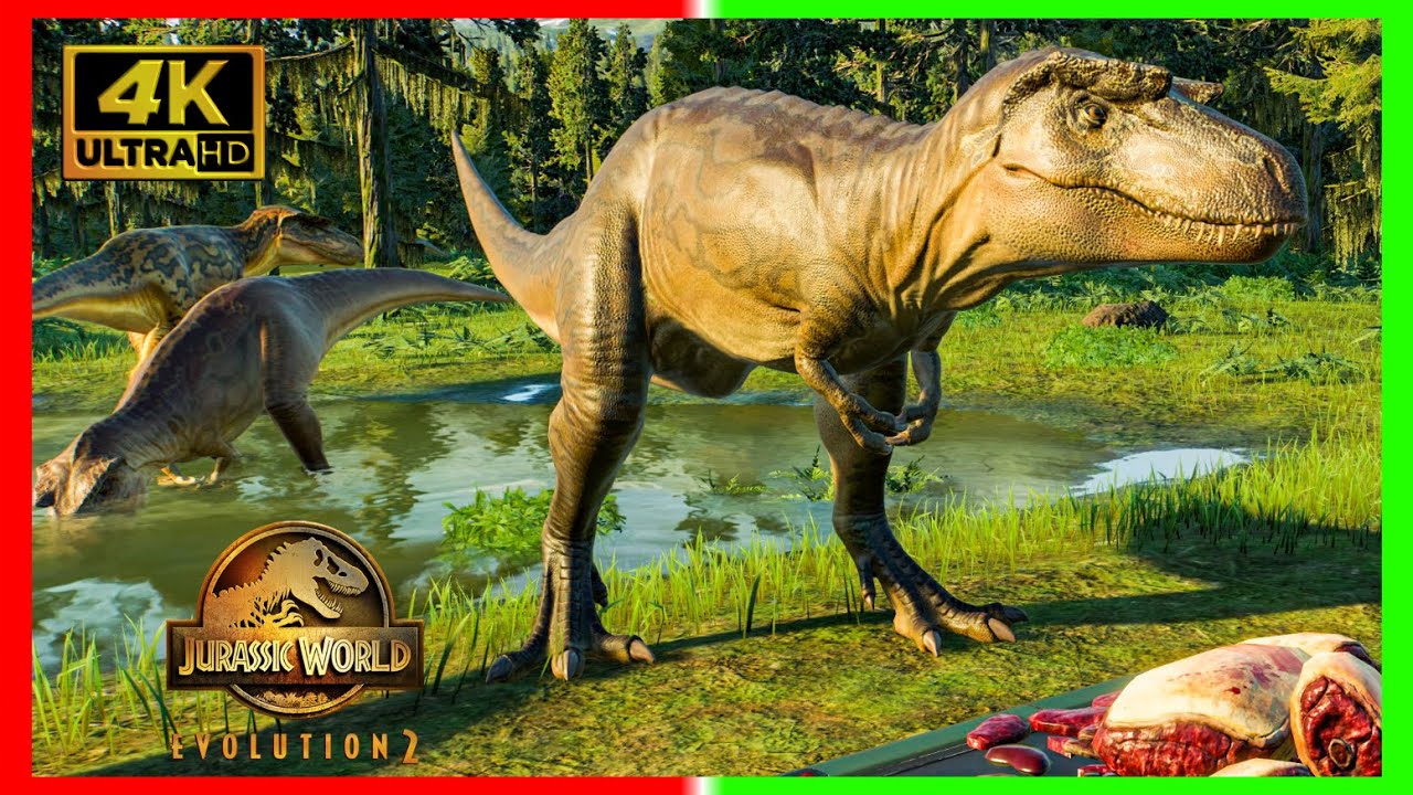 Preload Image