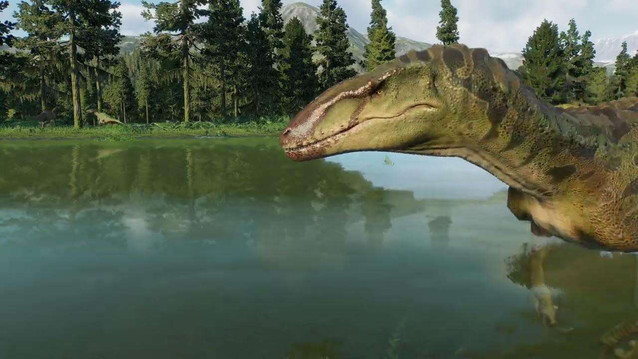 Preload Image