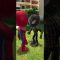 Marvelous Moves: Spidey Unleashes the Astonishing Butterfly Twirl Kick! #shorts