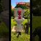 Skibidi toilet 🚽 Spider-Man vs Cameraman #shorts #spidey